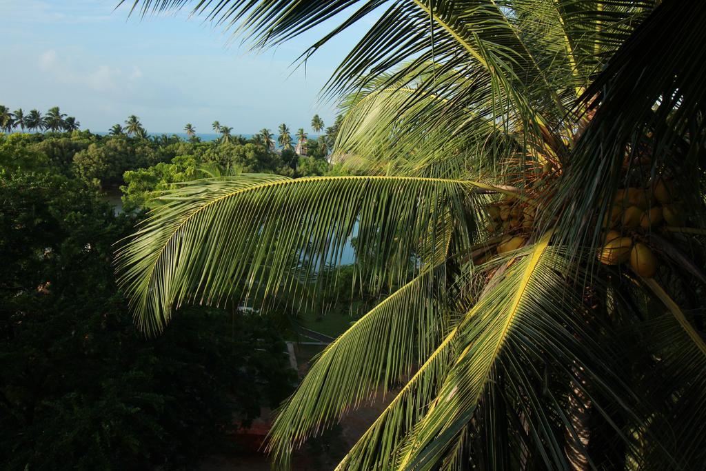 Hideaway Lodge Tangalle Eksteriør billede