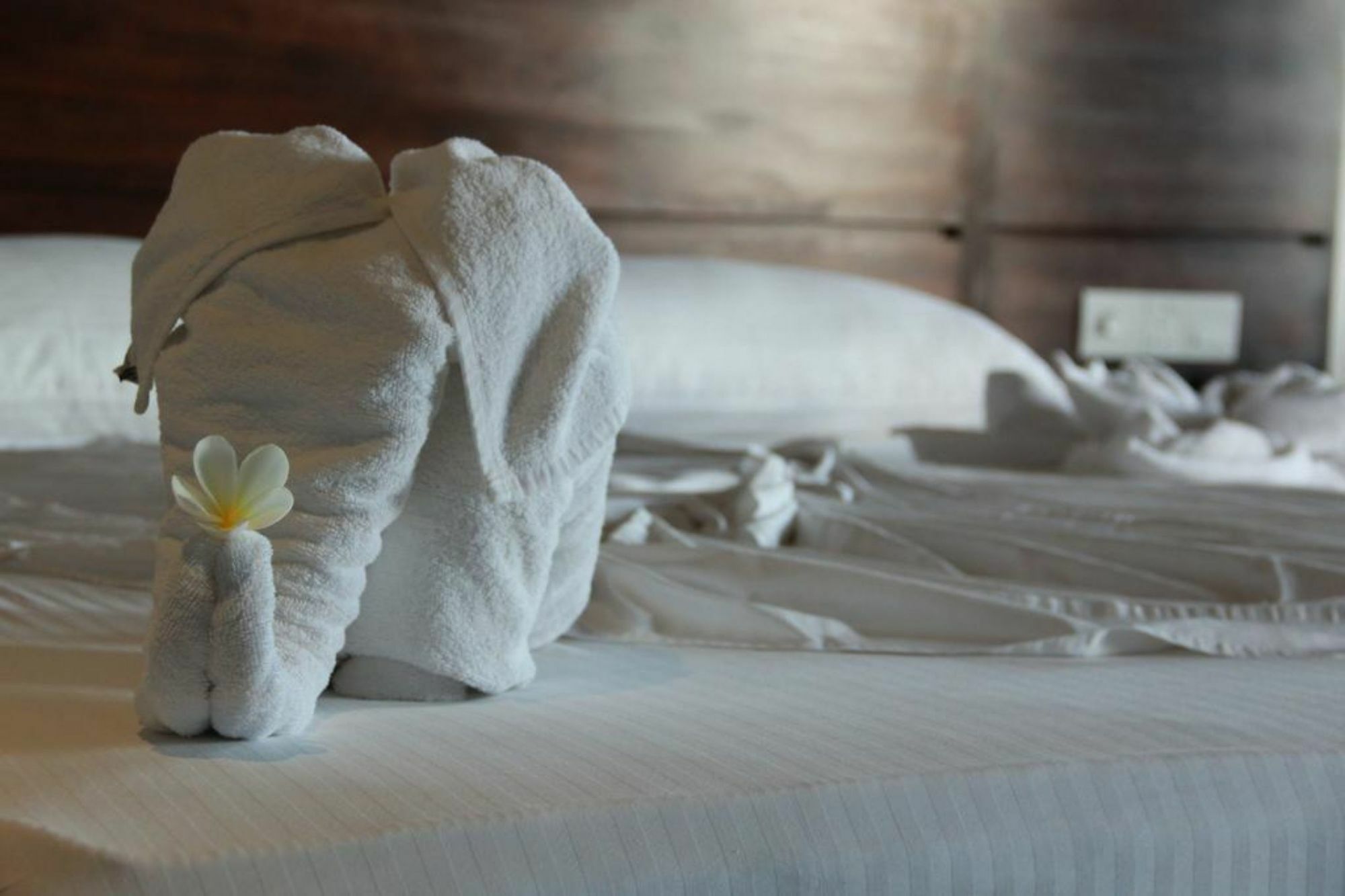 Hideaway Lodge Tangalle Eksteriør billede